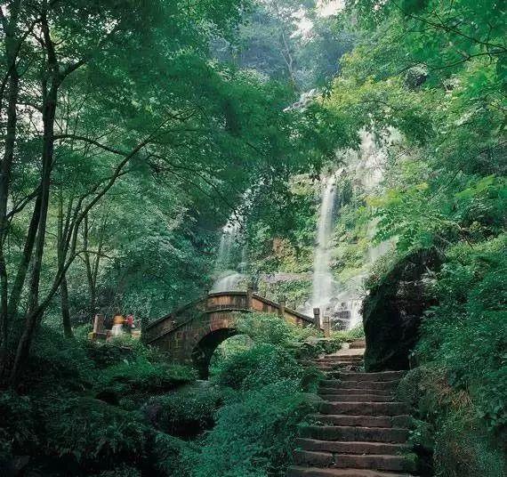 需求复苏带动“经济风向标”回暖,1月PMI超季节性回升背后