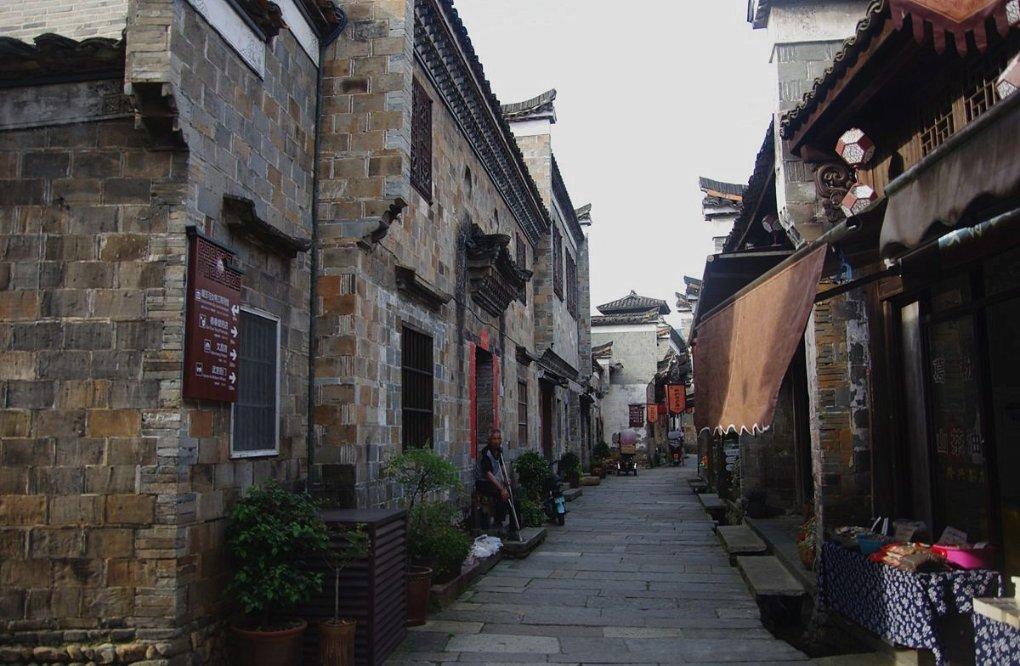 逃离野鸡森林