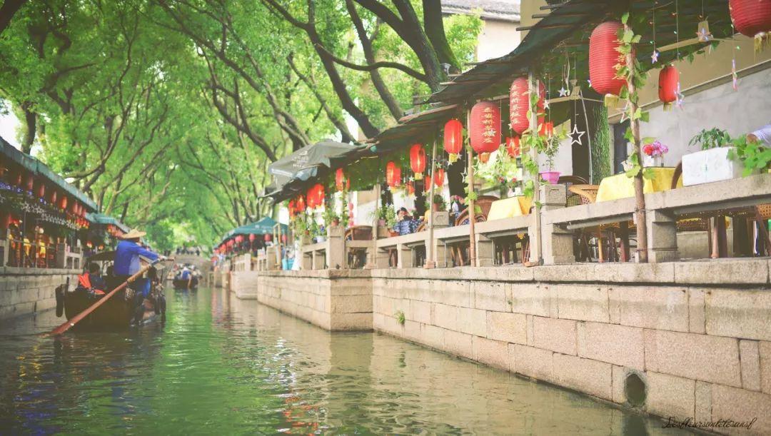 除虫大师